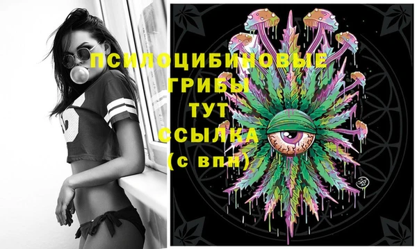 apvp Абаза