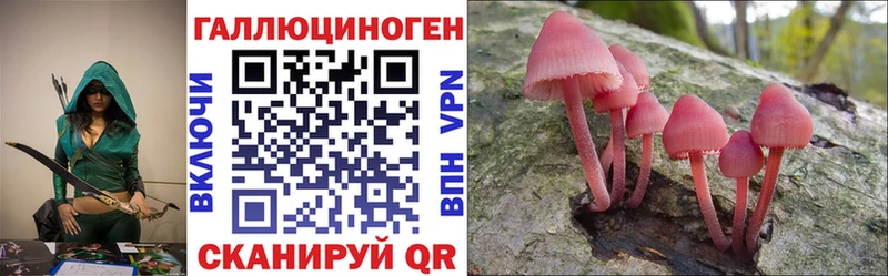 где купить наркоту  Канск  Псилоцибиновые грибы Cubensis 